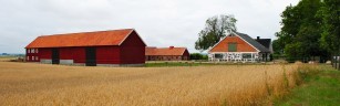 horse farm in Skane