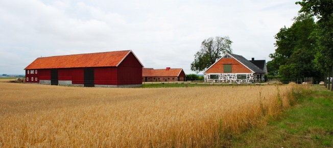 horse farm in Skane